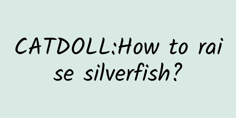 CATDOLL:How to raise silverfish?