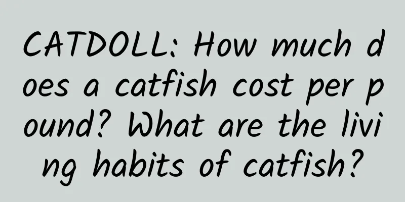CATDOLL: How much does a catfish cost per pound? What are the living habits of catfish?