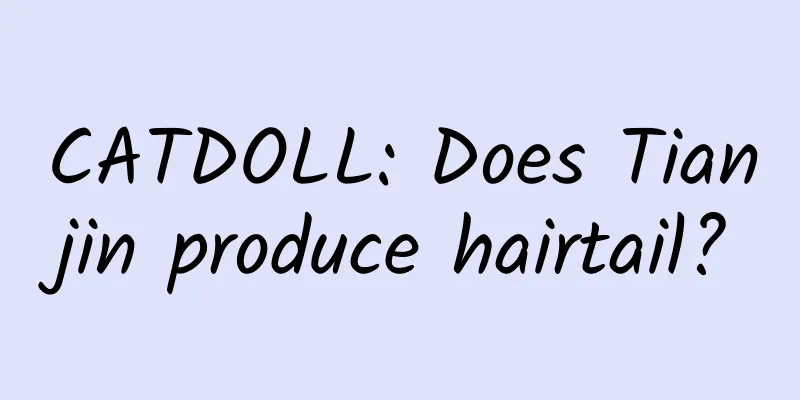 CATDOLL: Does Tianjin produce hairtail?