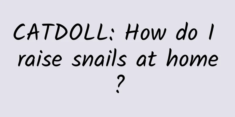 CATDOLL: How do I raise snails at home?