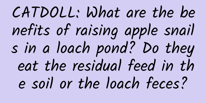 CATDOLL: What are the benefits of raising apple snails in a loach pond? Do they eat the residual feed in the soil or the loach feces?