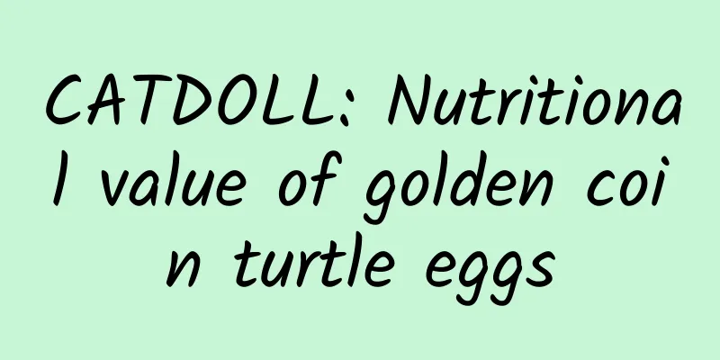 CATDOLL: Nutritional value of golden coin turtle eggs