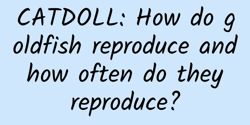 CATDOLL: How do goldfish reproduce and how often do they reproduce?