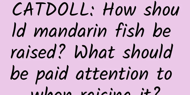 CATDOLL: How should mandarin fish be raised? What should be paid attention to when raising it?