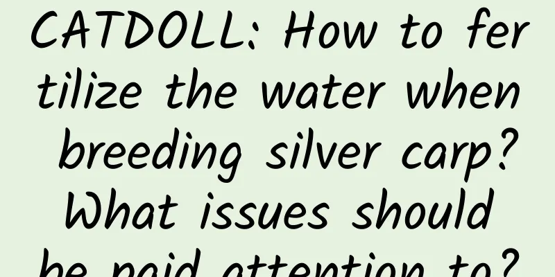 CATDOLL: How to fertilize the water when breeding silver carp? What issues should be paid attention to?