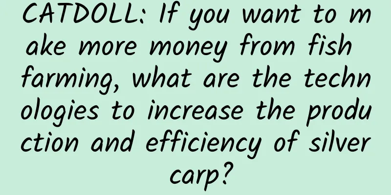 CATDOLL: If you want to make more money from fish farming, what are the technologies to increase the production and efficiency of silver carp?