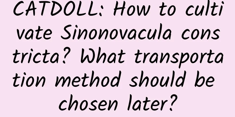 CATDOLL: How to cultivate Sinonovacula constricta? What transportation method should be chosen later?