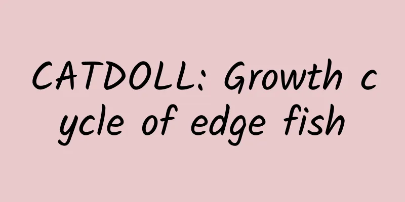CATDOLL: Growth cycle of edge fish