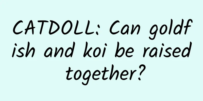 CATDOLL: Can goldfish and koi be raised together?