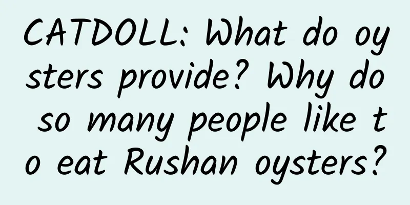 CATDOLL: What do oysters provide? Why do so many people like to eat Rushan oysters?