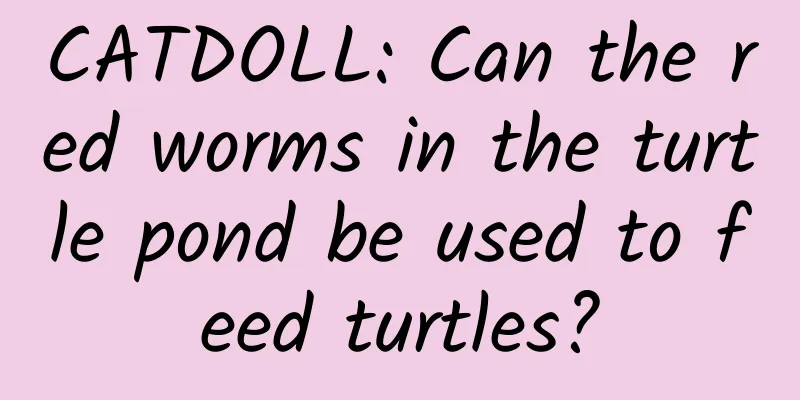 CATDOLL: Can the red worms in the turtle pond be used to feed turtles?