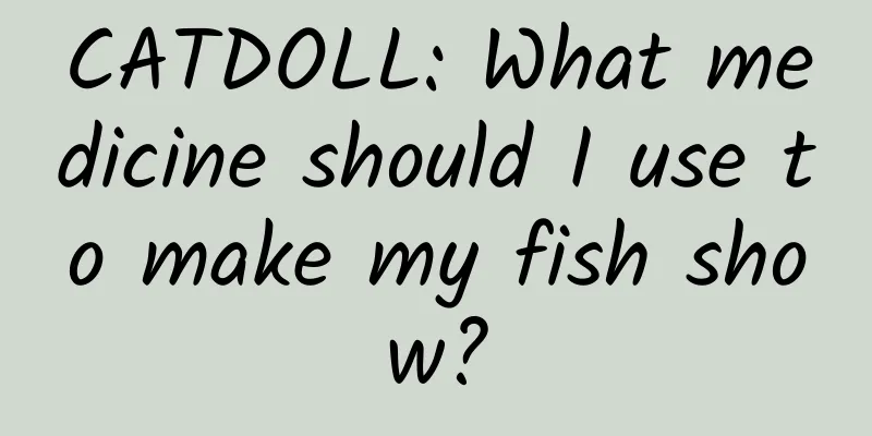 CATDOLL: What medicine should I use to make my fish show?