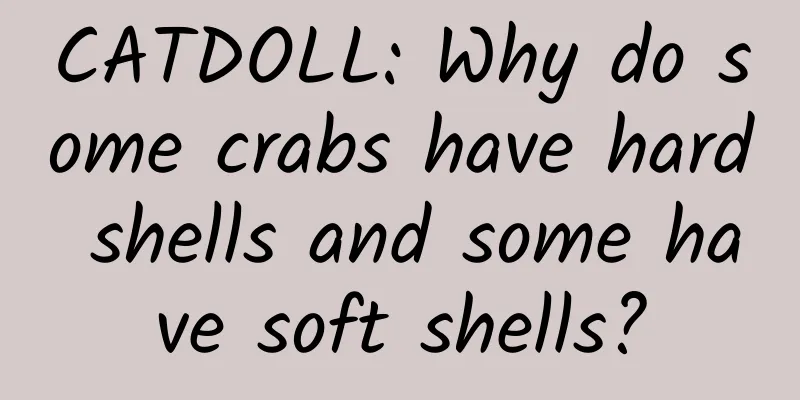 CATDOLL: Why do some crabs have hard shells and some have soft shells?