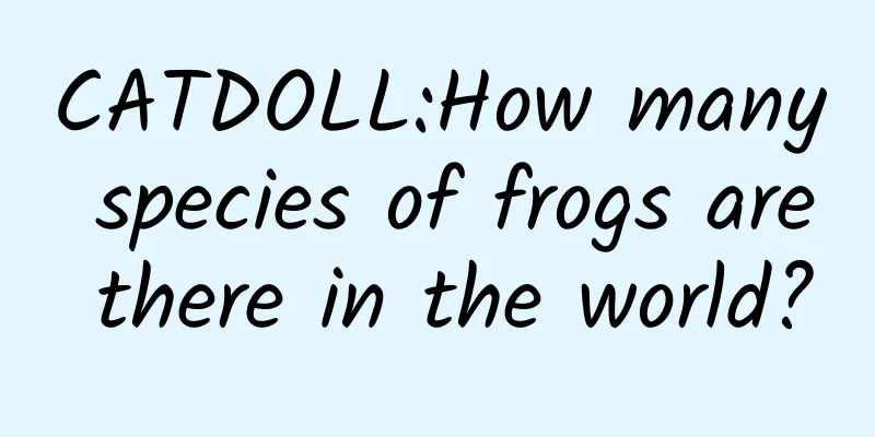 CATDOLL:How many species of frogs are there in the world?
