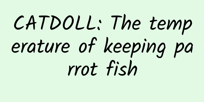 CATDOLL: The temperature of keeping parrot fish