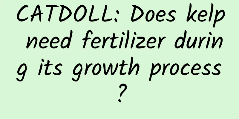 CATDOLL: Does kelp need fertilizer during its growth process?