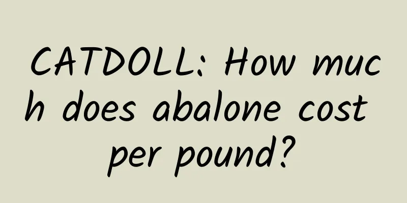 CATDOLL: How much does abalone cost per pound?