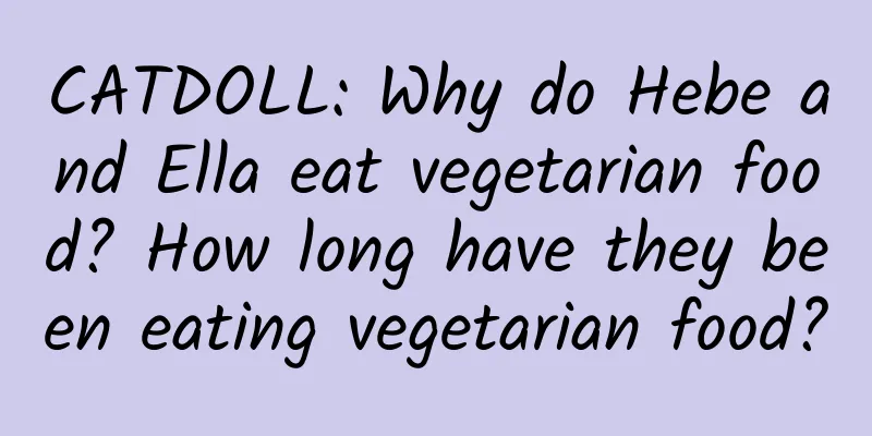 CATDOLL: Why do Hebe and Ella eat vegetarian food? How long have they been eating vegetarian food?