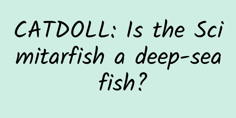 CATDOLL: Is the Scimitarfish a deep-sea fish?