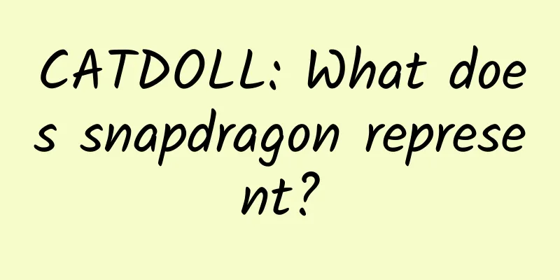 CATDOLL: What does snapdragon represent?