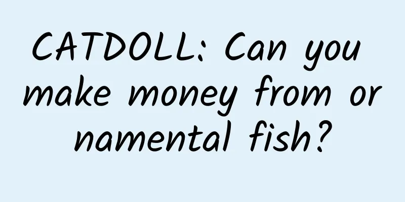 CATDOLL: Can you make money from ornamental fish?