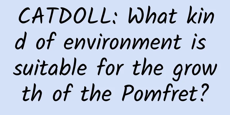CATDOLL: What kind of environment is suitable for the growth of the Pomfret?