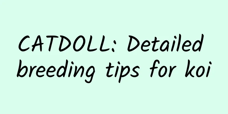 CATDOLL: Detailed breeding tips for koi
