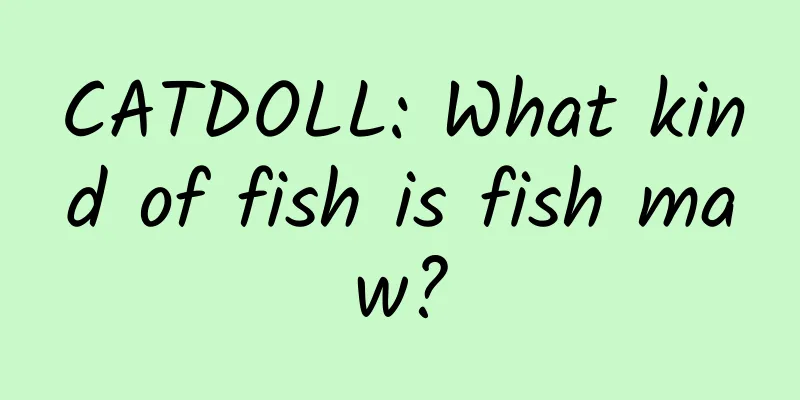 CATDOLL: What kind of fish is fish maw?