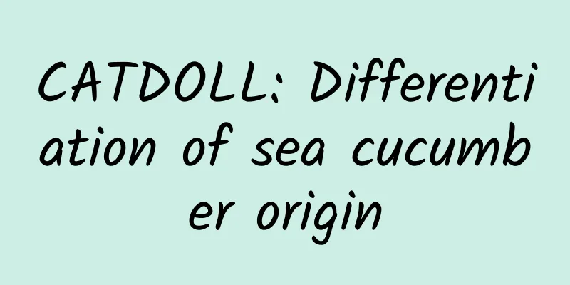 CATDOLL: Differentiation of sea cucumber origin