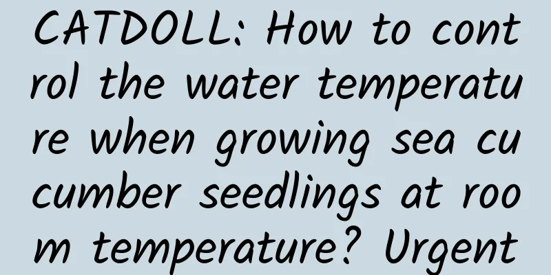 CATDOLL: How to control the water temperature when growing sea cucumber seedlings at room temperature? Urgent