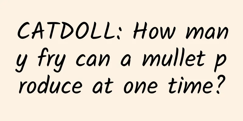 CATDOLL: How many fry can a mullet produce at one time?