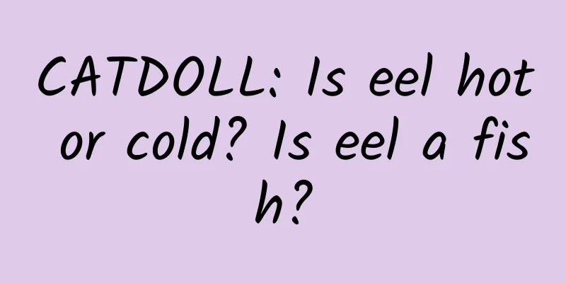 CATDOLL: Is eel hot or cold? Is eel a fish?