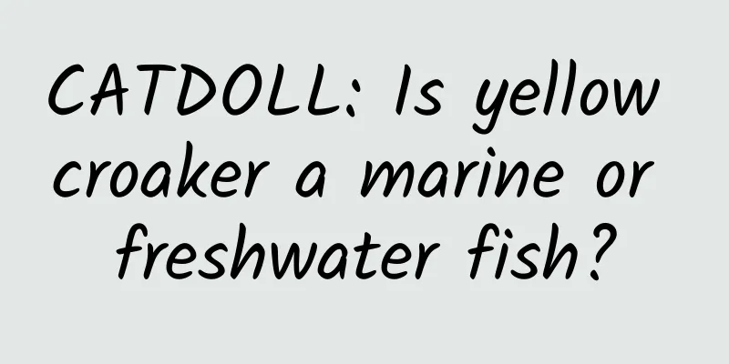 CATDOLL: Is yellow croaker a marine or freshwater fish?
