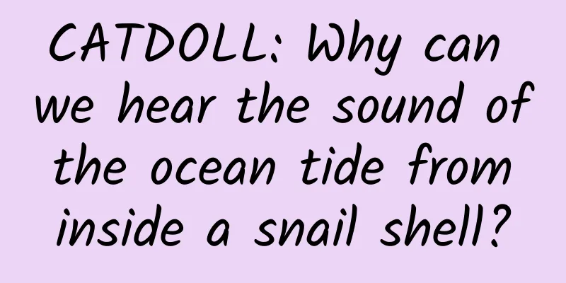 CATDOLL: Why can we hear the sound of the ocean tide from inside a snail shell?