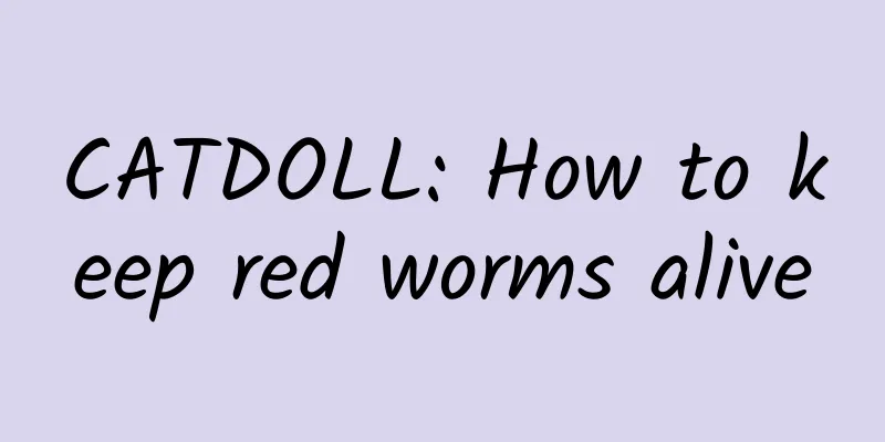 CATDOLL: How to keep red worms alive