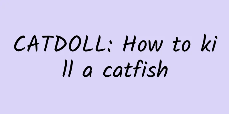 CATDOLL: How to kill a catfish
