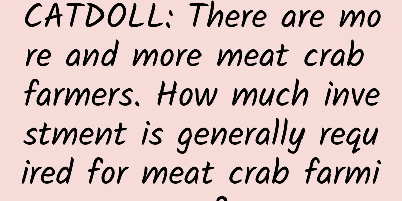 CATDOLL: There are more and more meat crab farmers. How much investment is generally required for meat crab farming?