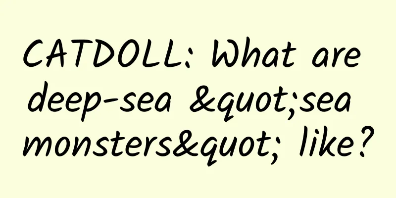 CATDOLL: What are deep-sea "sea monsters" like?