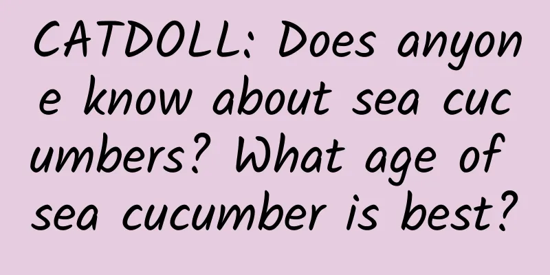 CATDOLL: Does anyone know about sea cucumbers? What age of sea cucumber is best?