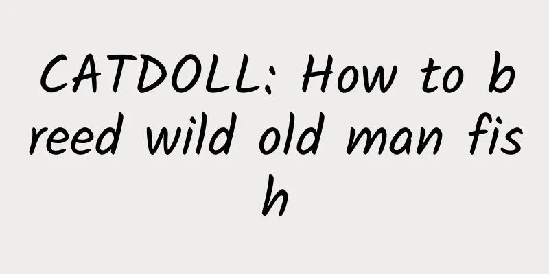 CATDOLL: How to breed wild old man fish