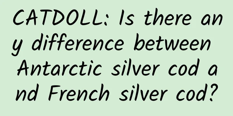 CATDOLL: Is there any difference between Antarctic silver cod and French silver cod?