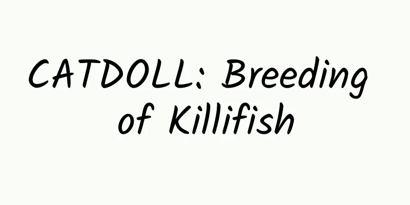CATDOLL: Breeding of Killifish