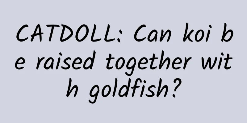 CATDOLL: Can koi be raised together with goldfish?