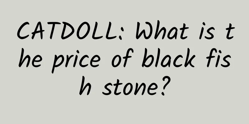 CATDOLL: What is the price of black fish stone?