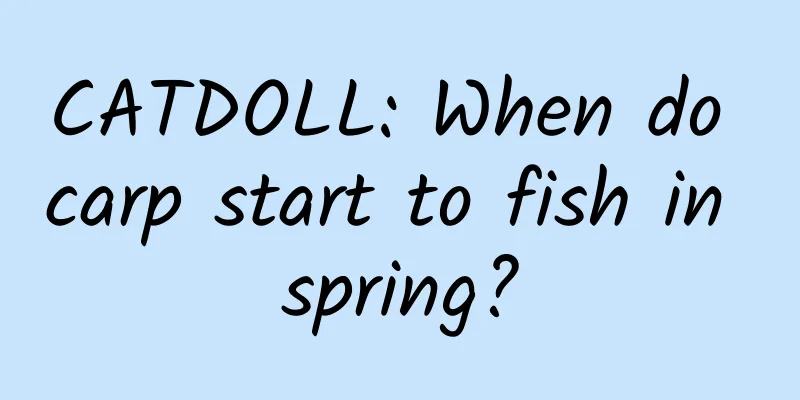 CATDOLL: When do carp start to fish in spring?