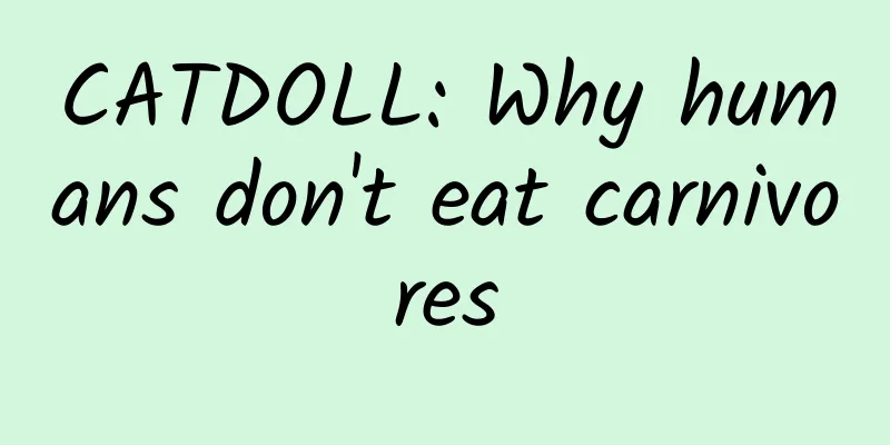 CATDOLL: Why humans don't eat carnivores