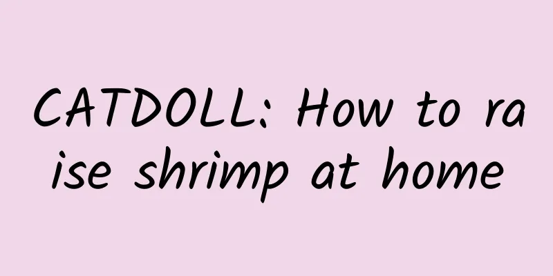 CATDOLL: How to raise shrimp at home