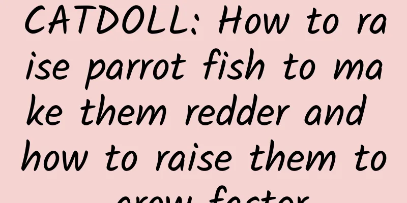 CATDOLL: How to raise parrot fish to make them redder and how to raise them to grow faster