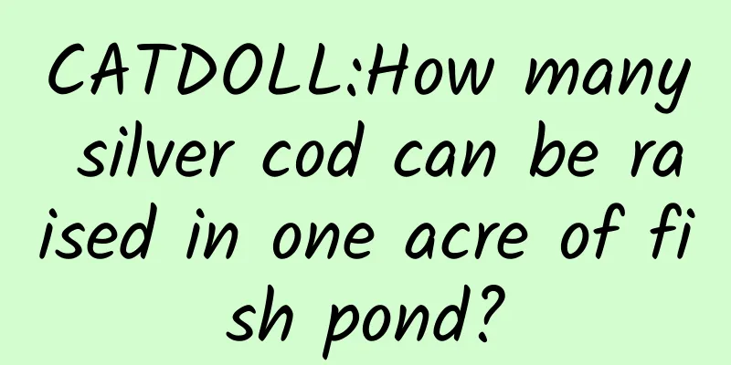 CATDOLL:How many silver cod can be raised in one acre of fish pond?