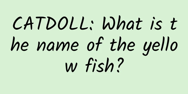 CATDOLL: What is the name of the yellow fish?